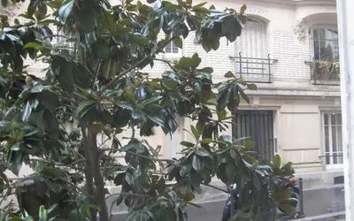 Paris 14E (75014)
