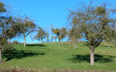 Lannoy-Cuillère (60220)