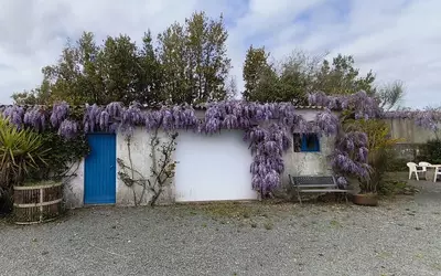 Landevieille (85220)