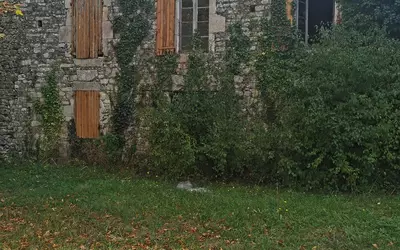 Le Boulvé (46800)