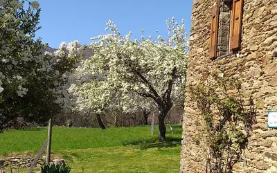 Saint-André-De-Lancize (48240)