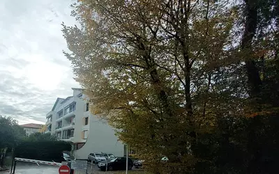Anglet (64600)