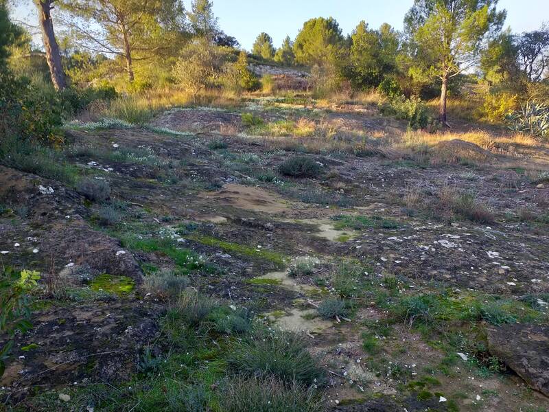 Villeneuve-Lès-Avignon (30400)