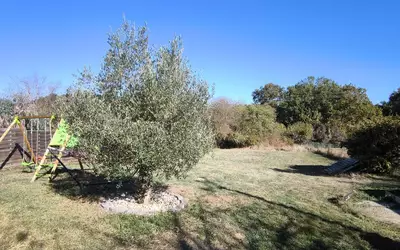 Carignan-De-Bordeaux (33360)