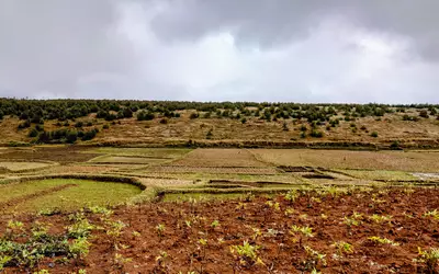 Madagascar
