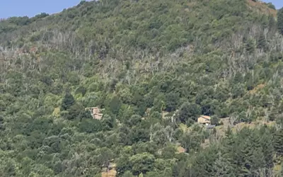 Jaujac (07380)