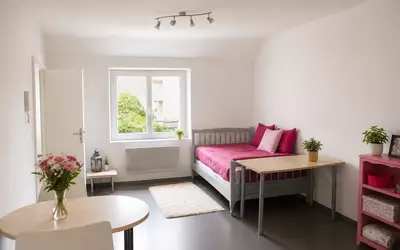 Angers (49000)