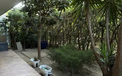 Nice (06000)