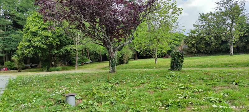 La Roche-Sur-Yon (85000)