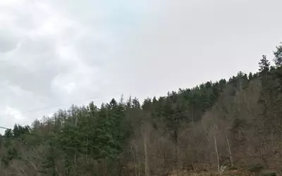 Le Chambon-Feugerolles (42500)