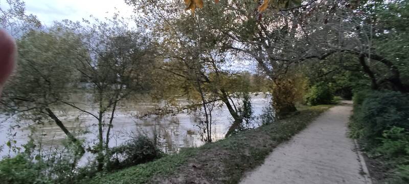 Champigny-Sur-Marne (94500)