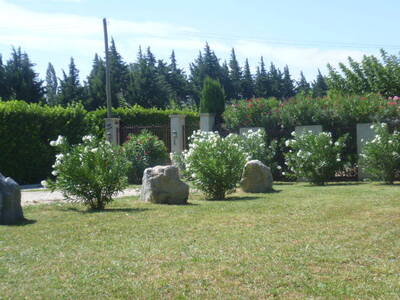Location maison 5 pièces Sarrians (84260)