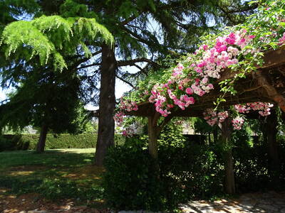 Vente maison 6 pièces Retiers (35240)