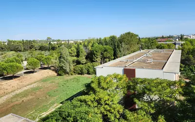 Montpellier (34000)