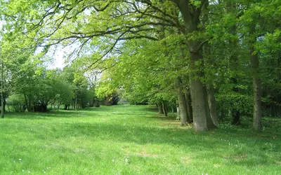 Wy-Dit-Joli-Village