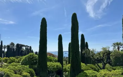 Cannes (06150)