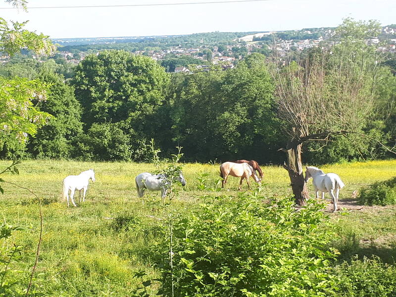 Coubron (93470)