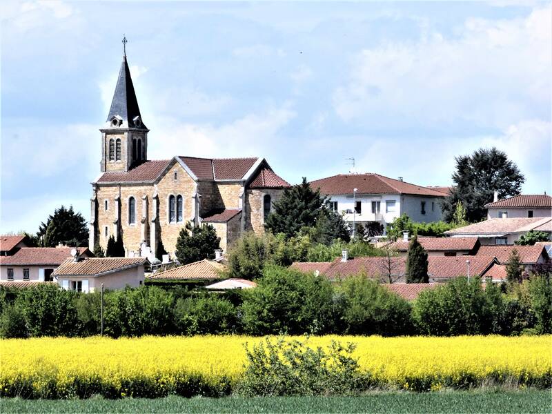 Mionnay (01390)