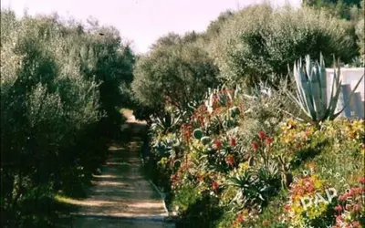 Cargèse (20130)