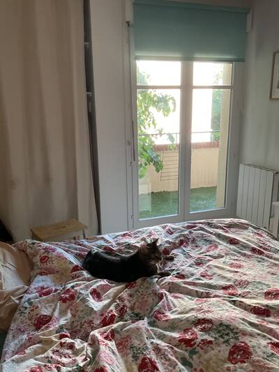 Vente appartement 4 pièces Noisy-le-Grand (93160)