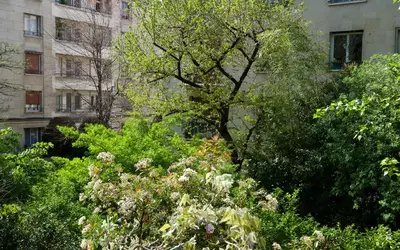 Paris 16E (75016)