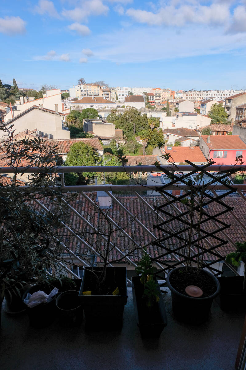 Toulouse (31000)