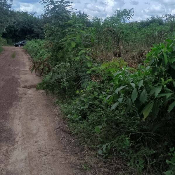 Côte D'ivoire