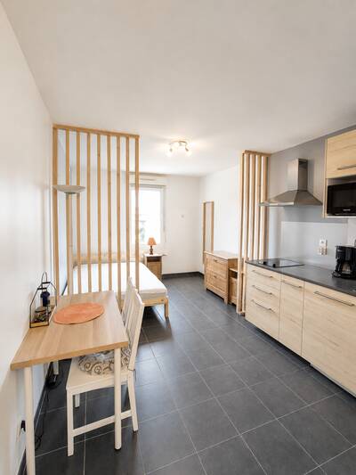 Location appartement studio Vénissieux (69200)