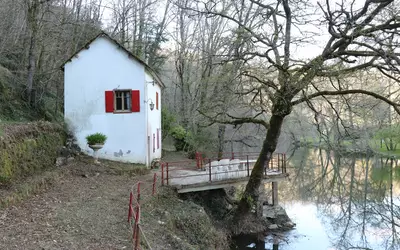 Mirandol-Bourgnounac (81190)