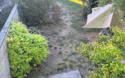 Nanterre (92000)