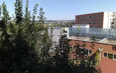 Toulouse (31000)