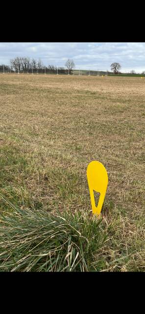 , 3 Parcelles À Partir De  800M²,  Pampelonne (81190)