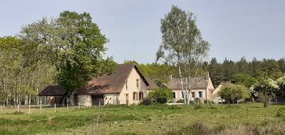 Vente maison 15 pièces La Ferté-Saint-Aubin (45240)