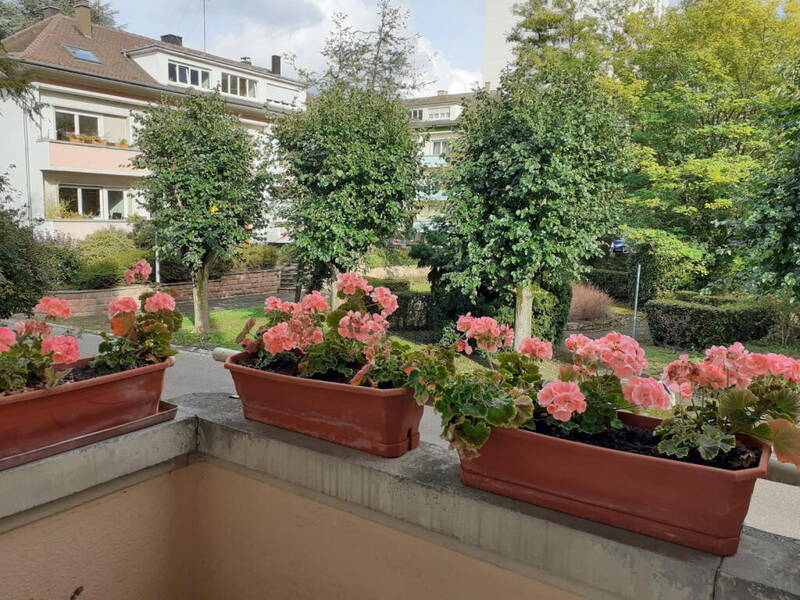 Strasbourg (67000)