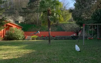 Tournon-Sur-Rhône (07300)