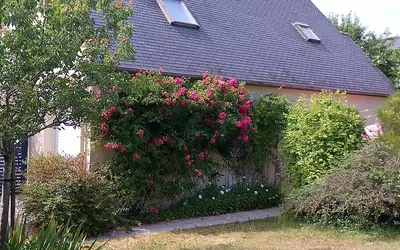 Larmor-Baden (56870)