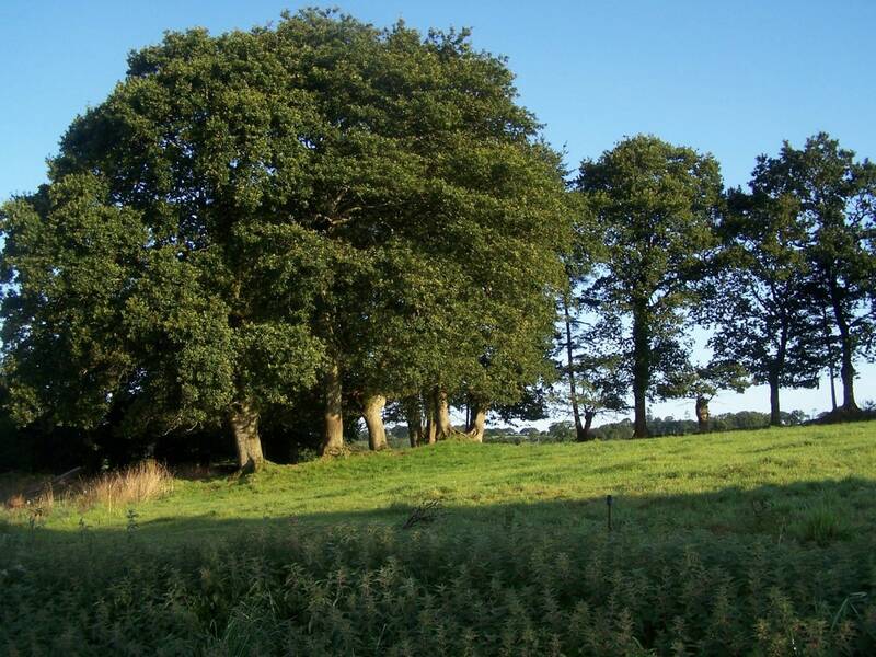 Trégourez (29970)