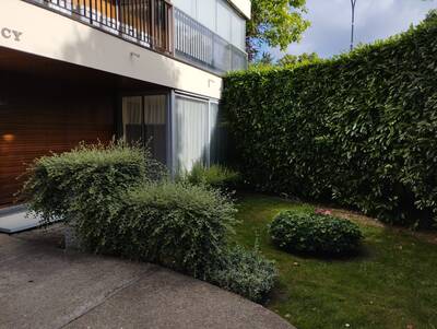 Vente appartement studio Le Chesnay-Rocquencourt (78150)