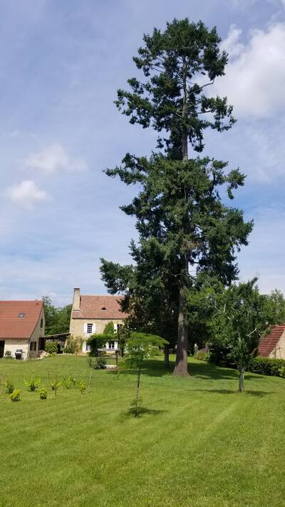 Vente maison 8 pièces Saint-Cyprien (24220)