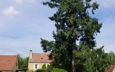 Saint-Cyprien (24220)
