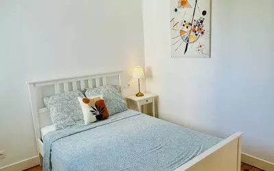 Toulouse (31000)