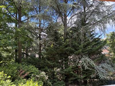 Vente appartement 2 pièces Lyon 5e