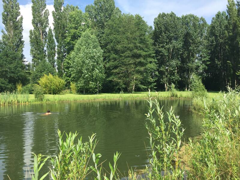 Breuillet (91650)