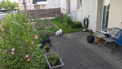 Vente appartement 3 pièces Strasbourg (67)