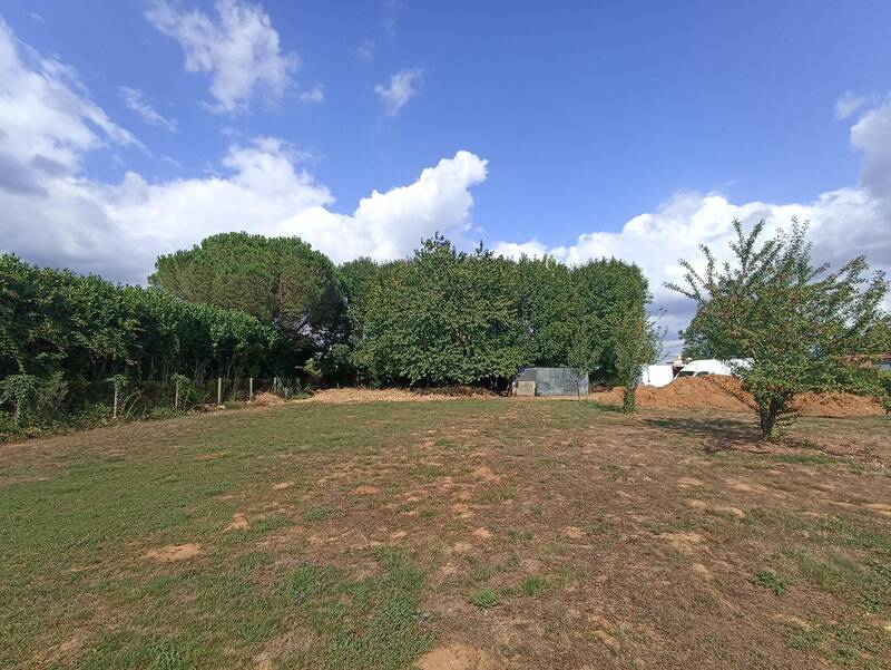 Le Champ-Saint-Père (85540)