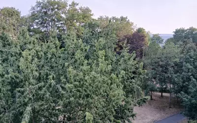 Cergy (95000)