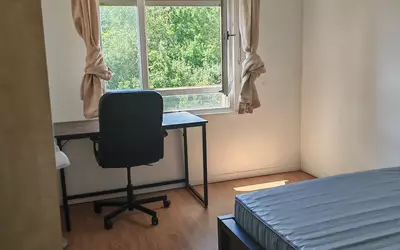 Cergy (95000)