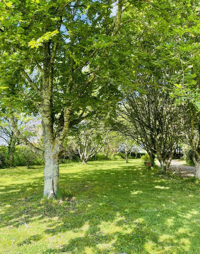 Plougastel-Daoulas (29470)