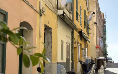 Ajaccio (20000)