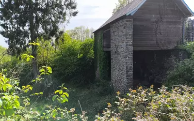 Beauchamps (50320)
